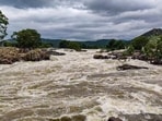 Karnataka informed the Authority that storage in its four Cauvery basin reservoirs stood at 48.979 tmcft against the 30-year average of 81.528 tmcft.