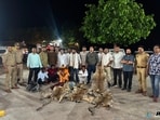 Forest department team with the seized leopard skins on the Agra-Gwalior highway. (Sourced)