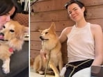 Animal lovers heartbroken as foster mom shares she's putting down famous dog Simon