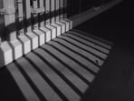 The court found that the prosecution had established the case through eyewitness testimony, medical evidence and material objects recovered during the investigation.