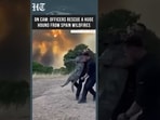Watch: Officers Rescue Giant Hound From Deadly Spain Wildfires | Viral Rescue Video