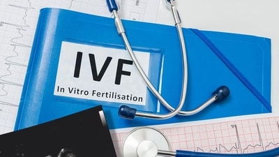 IVF (in vitro fertilisation concept). (Shutterstock) IVF (in vitro fertilisation concept). (Shutterstock)