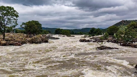 Karnataka informed the Authority that storage in its four Cauvery basin reservoirs stood at 48.979 tmcft against the 30-year average of 81.528 tmcft. (PTI)