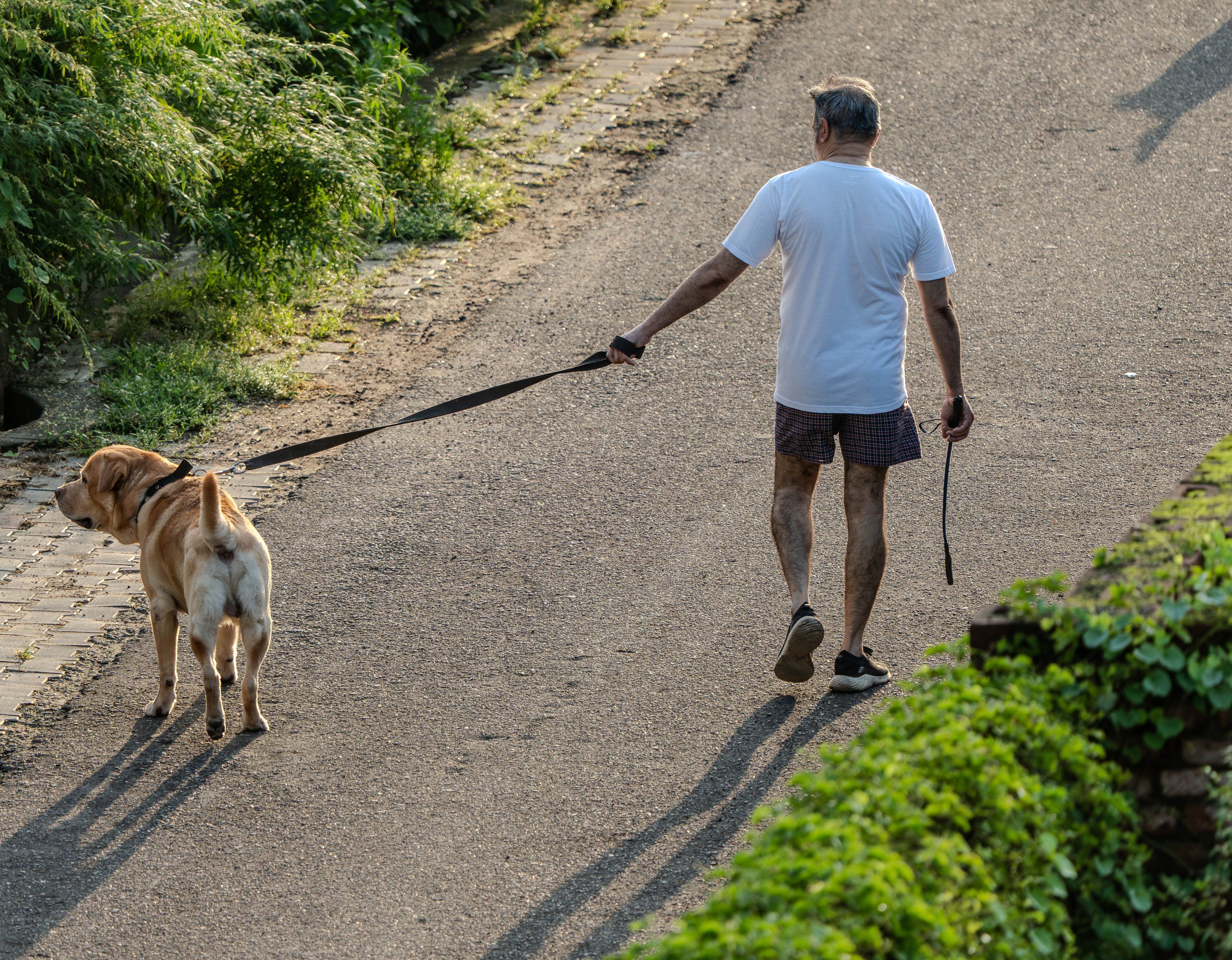 Walking is one of the low-intensity aerobic exercises that helps achieve a good blood circulation and better cardiovascular health. (Pexel) Walking is one of the low-intensity aerobic exercises that helps achieve a good blood circulation and better cardiovascular health. (Pexel)