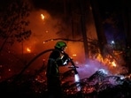 France and Spain have been at the epicentre of the wildfire season. 
