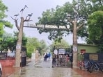 Keoladeo National Park is home to around 336 bird species and attracts thousands of migratory birds from Europe, Central Asia and Siberia every winter. (HT Photo)