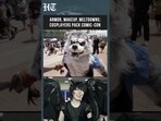 From Fantasy Novels To Fried Cosplays: Brutal Heat Tests Fans At San Diego Comic‑Con