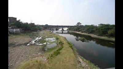 Environmentalists warn that unless immediate steps are taken to restore wetlands, remove encroachments, improve sewage treatment, regulate groundwater extraction and revive traditional water bodies, the Gomti could face an even deeper ecological and water crisis in the years ahead. (Deepak Gupta/HT)