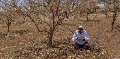 Preparation for 2027 cannot begin next summer. Farmers need timely advice on sowing, short-duration crops and irrigation. (Photo: HT Archive) Preparation for 2027 cannot begin next summer. Farmers need timely advice on sowing, short-duration crops and irrigation. (Photo: HT Archive)