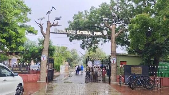 Keoladeo National Park is home to around 336 bird species and attracts thousands of migratory birds from Europe, Central Asia and Siberia every winter. (HT Photo)