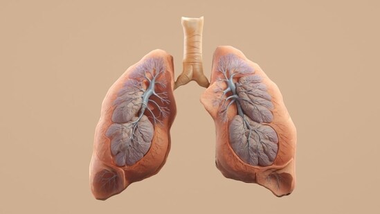 Why are more non-smokers getting lung cancer? Pulmonologist Dr Harshil Alwani breaks down the hidden risk factors