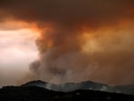 The wildfires have significantly shifted the mood in the country, where just a week ago huge crowds of people took to the streets to celebrate their second FIFA World Cup triumph.