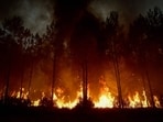 A forest fire rages in Saint-Jean-d'Illac, some 30km from Bordeaux, in France on July 26.
