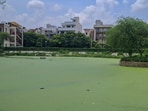 Residents said fish and aeration measures ordered under the NGT process are yet to be introduced, while GMDA said fish will be released soon. (Parveen Kumar/HT)