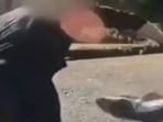 Connor Seifert is accused of illegally catching and ‘wrestling’ sharks in disturbing videos