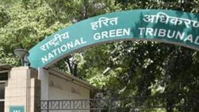 28 trees felled without permission in Chattarpur, NGT seeks action report