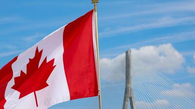According to IRCC data, there were 393,530 new permanent immigrants to Canada in 2025 compared to 483,655 in 2024, marking a 19% reduction in their numbers. (REUTERS)