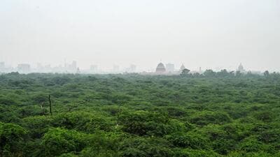 The land parcels are spread over different locations in Rohini, Narela, Dwarka, Alipur, Satbari, Maidan Garhi. (HT Archive) The land parcels are spread over different locations in Rohini, Narela, Dwarka, Alipur, Satbari, Maidan Garhi. (HT Archive)