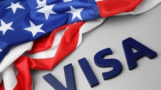 A B1 visa applicant shared their interview after the application was rejected. Image for representative purposes.