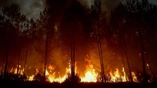 A forest fire rages in Saint-Jean-d'Illac, some 30km from Bordeaux, in France on July 26. (AFP)