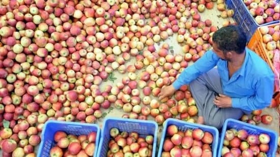 The scheme aims to provide assured prices and market support to fruit growers in the Himachal Pradesh. (File)