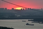 The Chinese Communist Party, once famous for pillaging from the natural world, has set to protecting parts of it. 