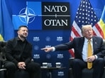 President Trump met this month with Ukrainian President Volodymyr Zelensky at a summit in Turkey.