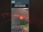 Terrifying Footage Shows Spain Wildfires Engulfing Landscapes Within Minutes