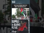Siren Blitz Greets Netanyahu as Pro-Palestinian Protesters Rally in D.C.