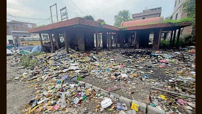 Heaps of Garbage lying on the roadside, at EWS Colony in Ludhiana on Tuesday. (HT Photo)