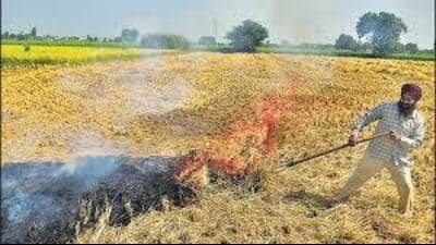 In the rabi harvest season, CAQM, through Indian Agriculture Research Institute (IARI) monitored farm fire incidents between April 1 and May 31, 2026, with 9,806 farm fires recorded in Punjab and 3,398 in Haryana. (HT Photo for representation) In the rabi harvest season, CAQM, through Indian Agriculture Research Institute (IARI) monitored farm fire incidents between April 1 and May 31, 2026, with 9,806 farm fires recorded in Punjab and 3,398 in Haryana. (HT Photo for representation)