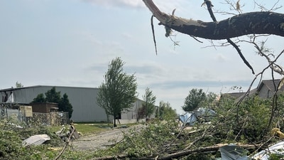 Fallen trees and damage to an area in the aftermath of a tornado in Fox Crossing, Wisconsin, US, (Amanda Hall via REUTERS)