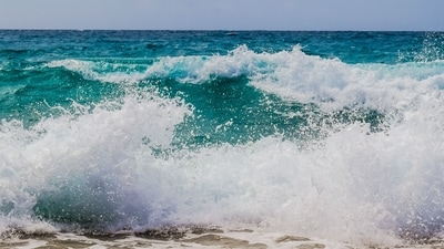 Santa Cruz beach rescue: 16-year-old lifeguard saves child from ‘demonic’ waves, earns Eric Trump's praise (Pexel - representational image)