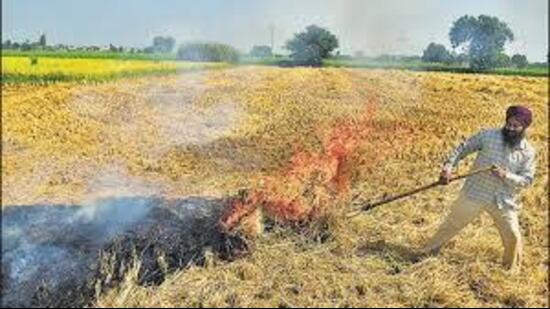 In the rabi harvest season, CAQM, through Indian Agriculture Research Institute (IARI) monitored farm fire incidents between April 1 and May 31, 2026, with 9,806 farm fires recorded in Punjab and 3,398 in Haryana. (HT Photo for representation)