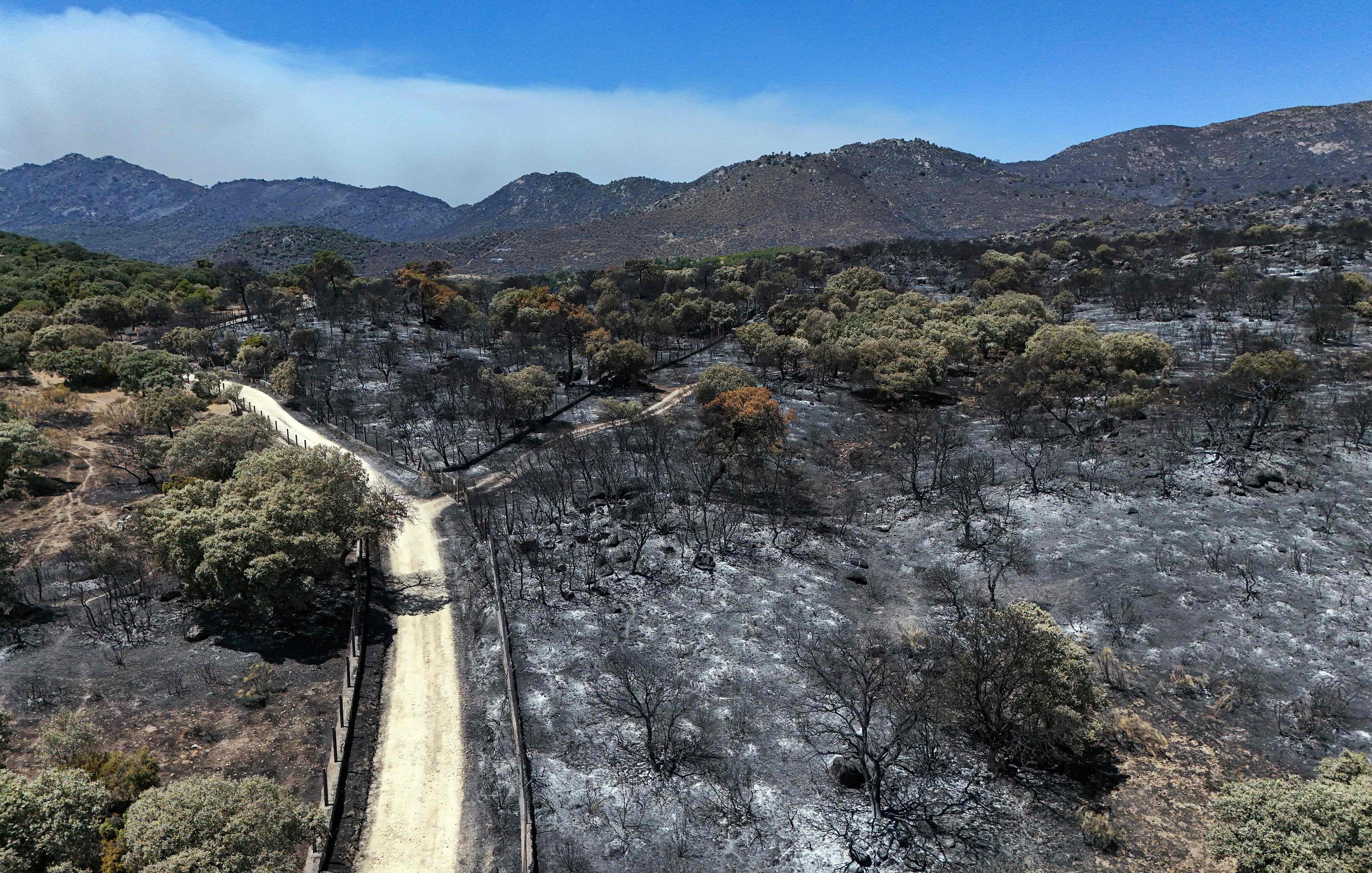An aerial view of scorched ground in the Camino de Navahonda area, following a wildfire near Robledo de Chavela, 60 kilometers west of Madrid. (AFP)