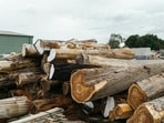 A group of angry villagers later vandalised a forest office over the incident. (Unsplash/Representative Image)