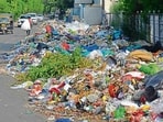 Garbage dumped on the roadside in Dugri area in Ludhiana on Wednesday. (HT PHOTO)