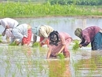 Maharashtra government has released the first list of beneficiaries under the state’s farm loan waiver scheme covering around 1.7 million farmers. ((PIC FOR REPRESENTATION))