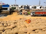 With barely two months left for the commencement of paddy procurement, Punjab has sounded an alarm over an unprecedented foodgrain storage crisis, prompting chief minister Bhagwant Mann to seek an urgent audience with Union food and public distribution minister Pralhad Joshi. (ANI)