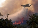 A firefighting plane dumping water on flames west of Madrid this past weekend.