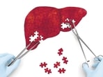 Liver