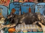 Morocco is known for its carpets and traditional beauty products.