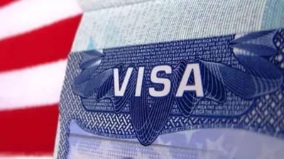 The U.S. Department of Labor has listed GowraTech, Renotek Group, Seeloz and Sherwood Academy as companies that willfully violated H-1B regulations, barring them from applying for H-1B visas until 2027 or 2028. (Representative archival photo) The U.S. Department of Labor has listed GowraTech, Renotek Group, Seeloz and Sherwood Academy as companies that willfully violated H-1B regulations, barring them from applying for H-1B visas until 2027 or 2028. (Representative archival photo)