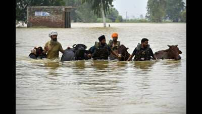 In October last year, Punjab had assured the green tribunal that the scientific survey will be completed within 10 months — August 2026. (AFP) In October last year, Punjab had assured the green tribunal that the scientific survey will be completed within 10 months — August 2026. (AFP)