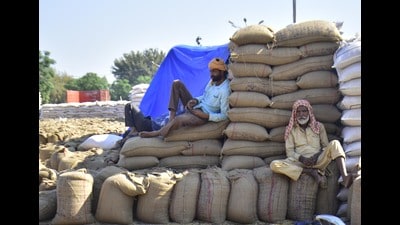 Labourers rest on sacks of wheat at Bhagtanwala Grain market, Amritsar. (HT File) Labourers rest on sacks of wheat at Bhagtanwala Grain market, Amritsar. (HT File)