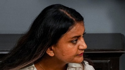 Ratna Singh has been among the more visible faces of the CJP's core coordination team. (PTI Photo) Ratna Singh has been among the more visible faces of the CJP's core coordination team. (PTI Photo)
