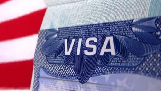 The US Department of Labor has labelled GowraTech, Renotek Group, Seeloz, and Sherwood Academy as willful violators of H-1B regulations, banning them from applying for H-1B visas until 2027 or 2028.