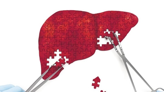 Liver