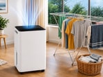 These dehumidifiers remove around 30L of water in a day.