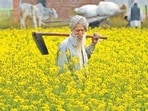 Farming (HT file photo)